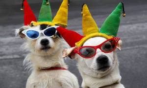 12112027_1721897101361880_8783786947163668643_n