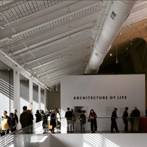 Screen Shot 2016-01-31 at 9.49.00 AM